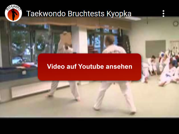 Taekwondo Bruchtest