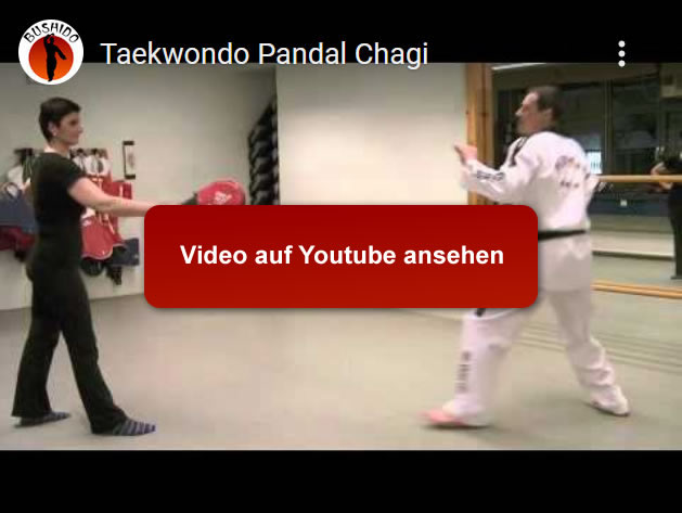 Taekwondo Techniken