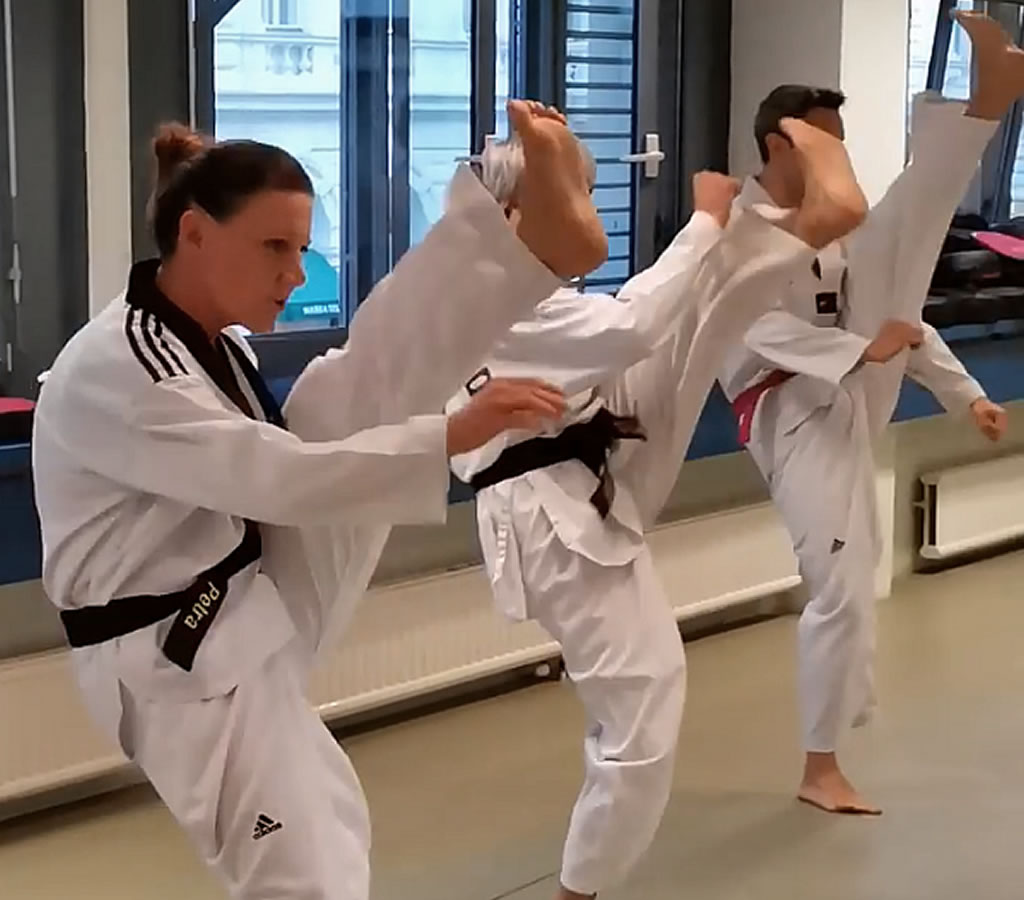 Taekwondo Kicks