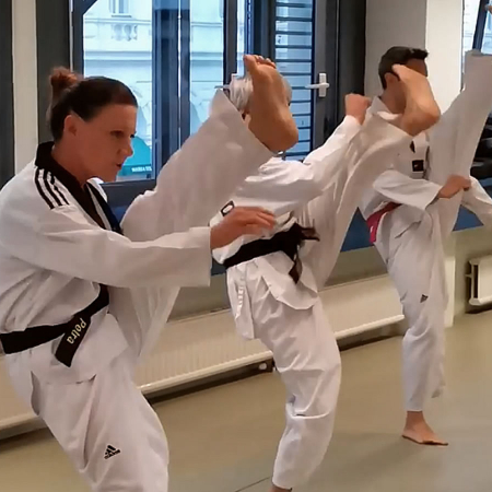 Taekwondo Kicks